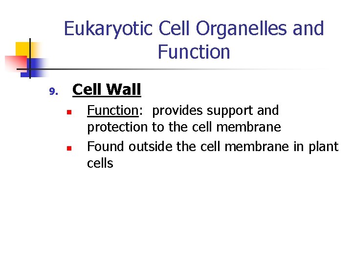 Eukaryotic Cell Organelles and Function Cell Wall 9. n n Function: provides support and
