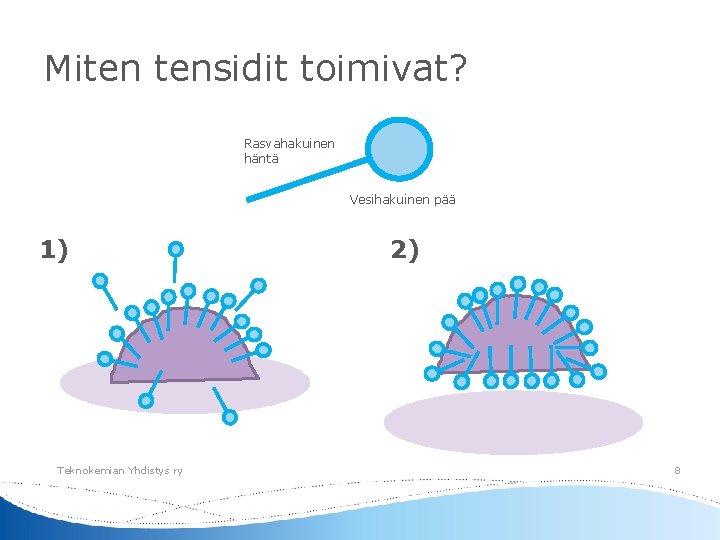 Miten tensidit toimivat? Rasvahakuinen häntä Vesihakuinen pää 1) Teknokemian Yhdistys ry 2) 8 