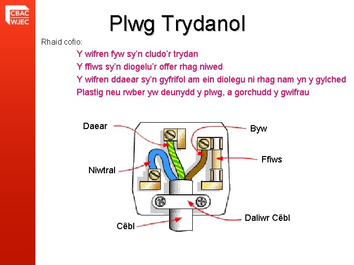 Plwg Trydanol Rhaid cofio: Y wifren fyw sy’n cludo’r trydan Y ffiws sy’n diogelu’r