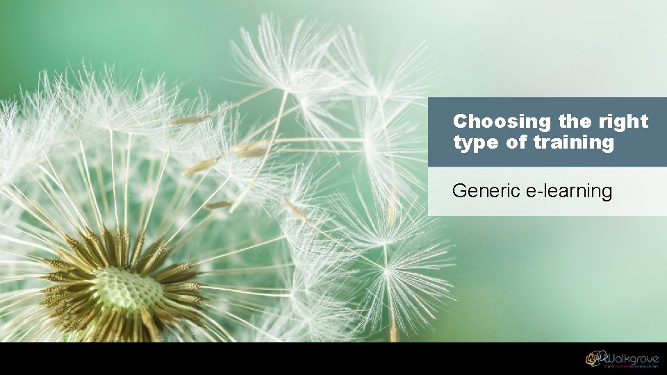 Training Course Generic Choosing the right type of training Generic elearning