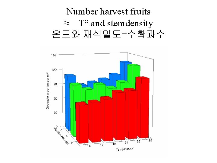 Number harvest fruits ≈ T° and stemdensity 온도와 재식밀도=수확과수 