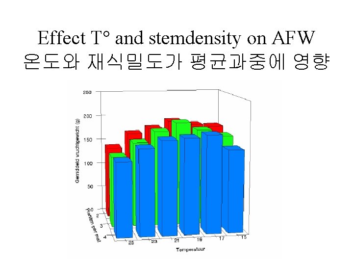 Effect T° and stemdensity on AFW 온도와 재식밀도가 평균과중에 영향 