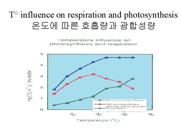 T° influence on respiration and photosynthesis 온도에 따른 호흡량과 광합성량 