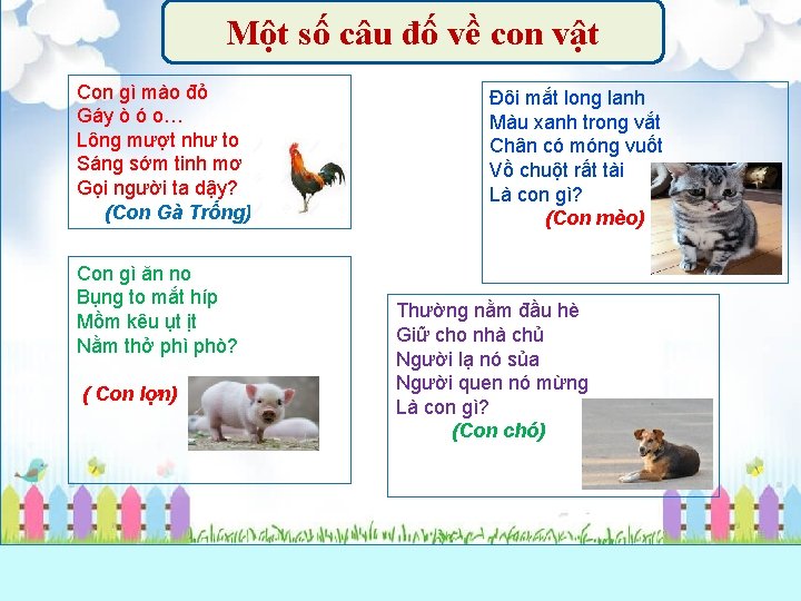 Một số câu đố về con vật Con gì mào đỏ Gáy ò ó