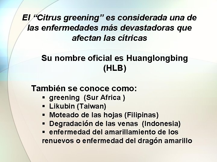 El “Citrus greening” es considerada una de las enfermedades más devastadoras que afectan las