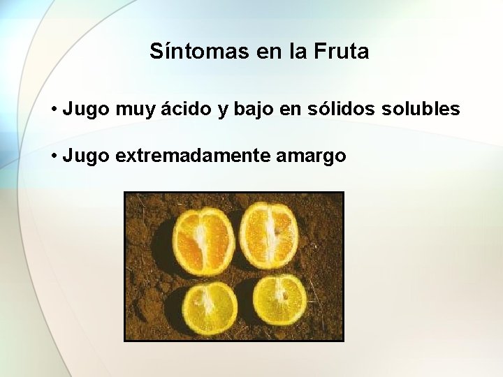 Síntomas en la Fruta • Jugo muy ácido y bajo en sólidos solubles •