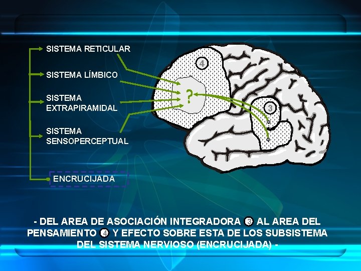 SISTEMA RETICULAR 4 SISTEMA LÍMBICO SISTEMA EXTRAPIRAMIDAL 3 SISTEMA SENSOPERCEPTUAL ENCRUCIJADA - DEL AREA