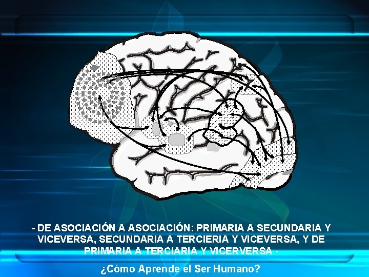 - DE ASOCIACIÓN A ASOCIACIÓN: PRIMARIA A SECUNDARIA Y VICEVERSA, SECUNDARIA A TERCIERIA Y