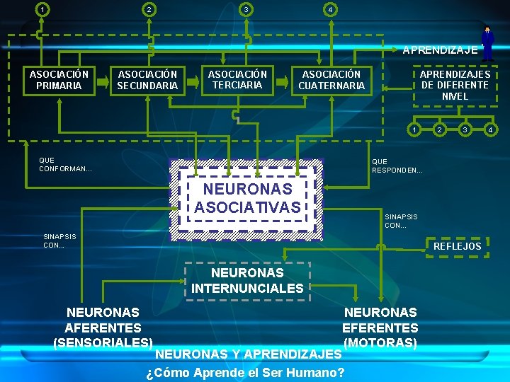 1 2 3 4 APRENDIZAJE ASOCIACIÓN PRIMARIA ASOCIACIÓN SECUNDARIA ASOCIACIÓN TERCIARIA APRENDIZAJES DE DIFERENTE