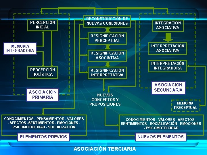 RECONSTRUCCIÓN DE NUEVAS CONEXIONES PERCEPCIÓN INICIAL INTEGRACIÓN ASOCIATIVA RESIGNIFICACIÓN PERCEPTUAL MEMORIA INTEGRADORA RESIGNIFICACIÓN ASOCIATIVA