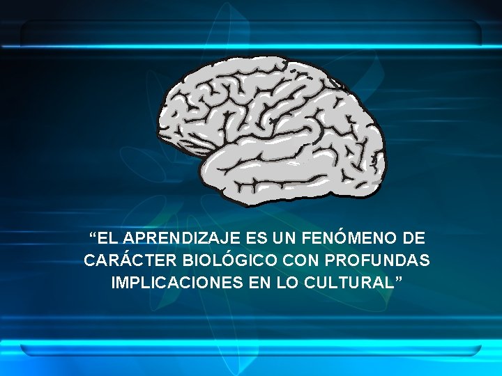 “EL APRENDIZAJE ES UN FENÓMENO DE CARÁCTER BIOLÓGICO CON PROFUNDAS IMPLICACIONES EN LO CULTURAL”