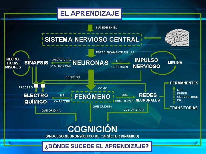 EL APRENDIZAJE SUCEDE EN EL SISTEMA NERVIOSO CENTRAL ESPECÍFICAMENTE EN LAS NEUROTRANSMISORES SINAPSIS UNIDAS