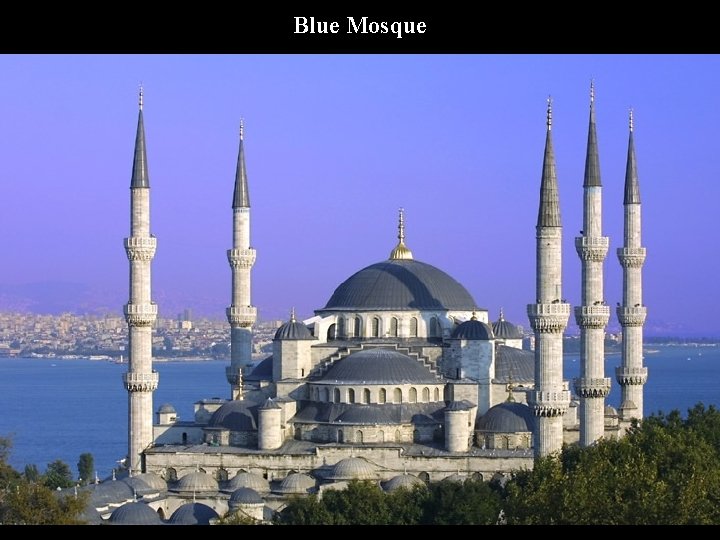 Blue Mosque 