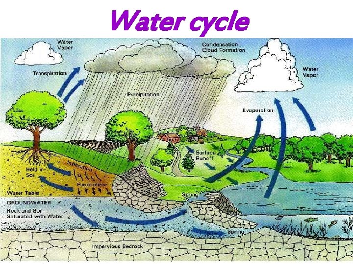 Water cycle 