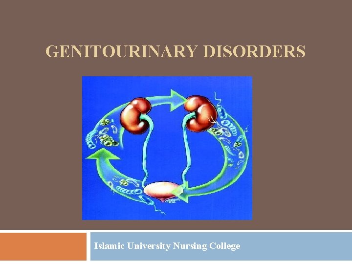 GENITOURINARY DISORDERS Islamic University Nursing College 