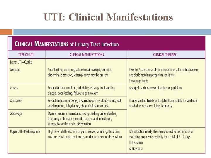 UTI: Clinical Manifestations 