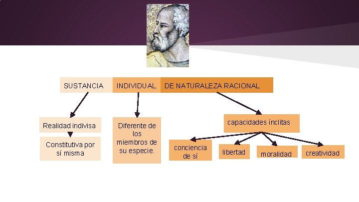 SUSTANCIA Realidad indivisa Constitutiva por sí misma INDIVIDUAL Diferente de los miembros de su