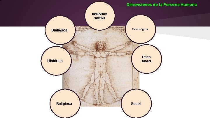 Dimensiones de la Persona Humana Intelectiva volitiva Biológica Psicológica Ético Moral Histórica Religiosa Social