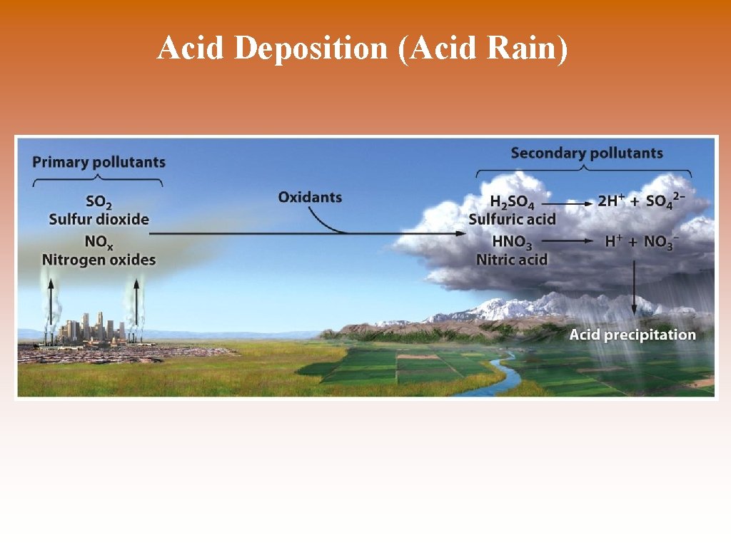Acid Deposition (Acid Rain) © Nitrogen oxides and Sulfur oxides are released into the