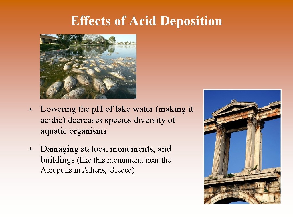 Effects of Acid Deposition © Lowering the p. H of lake water (making it