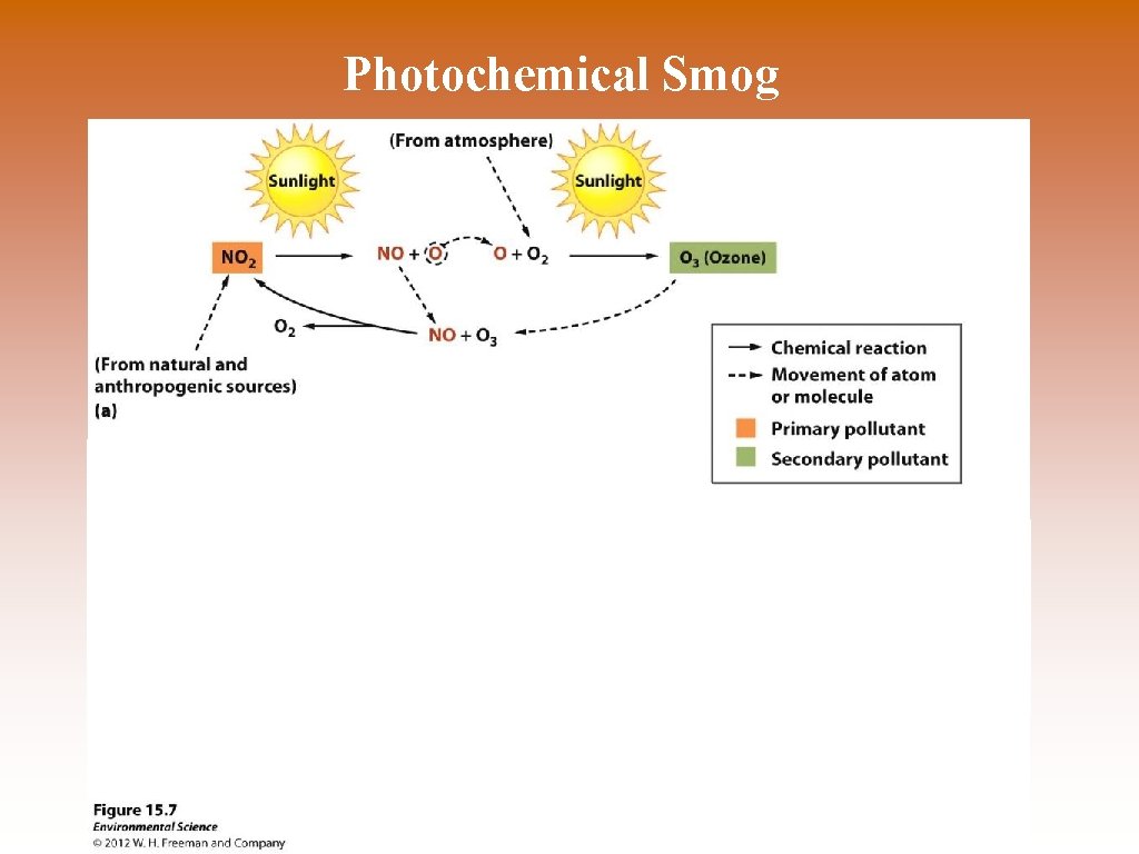 Photochemical Smog 