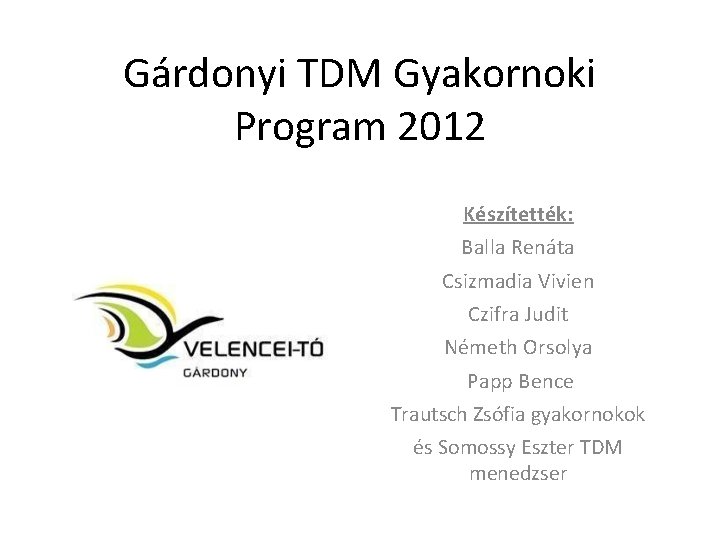 Gárdonyi TDM Gyakornoki Program 2012 Készítették: Balla Renáta Csizmadia Vivien Czifra Judit Németh Orsolya