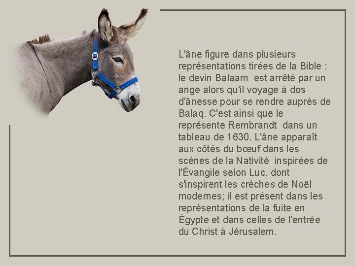 L'âne figure dans plusieurs représentations tirées de la Bible : le devin Balaam est