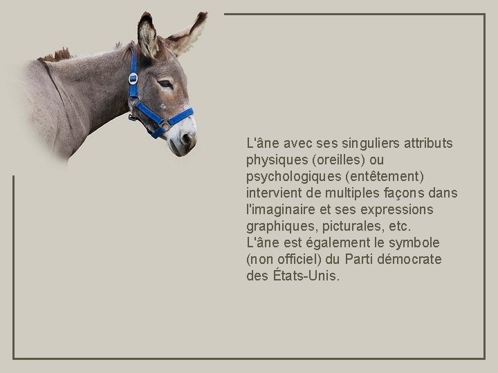 L'âne avec ses singuliers attributs physiques (oreilles) ou psychologiques (entêtement) intervient de multiples façons