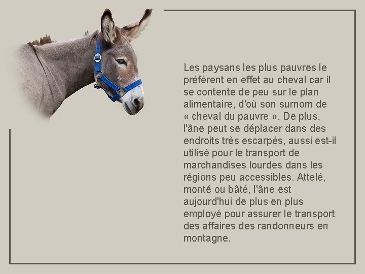 Les paysans les plus pauvres le préfèrent en effet au cheval car il se