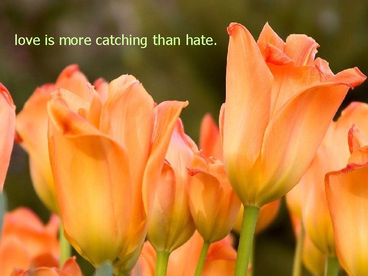 love is more catching than hate. 