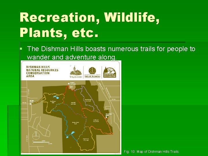 Recreation, Wildlife, Plants, etc. § The Dishman Hills boasts numerous trails for people to