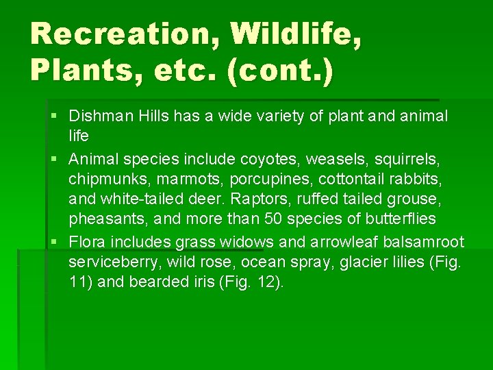 Recreation, Wildlife, Plants, etc. (cont. ) § Dishman Hills has a wide variety of