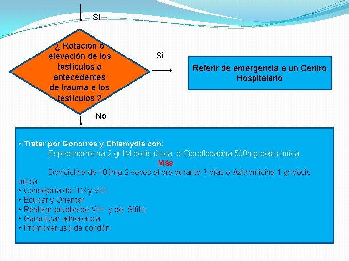 Si ¿ Rotación o elevación de los testículos o antecedentes de trauma a los