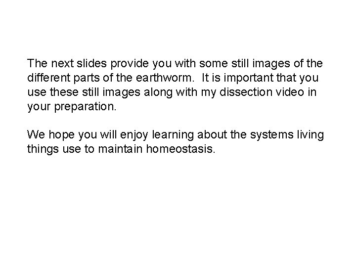 The next slides provide you with some still images of the different parts of