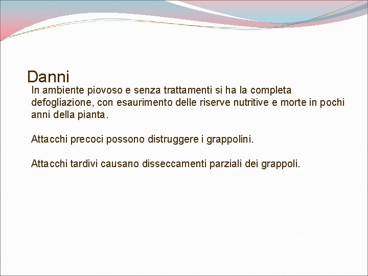 Danni In ambiente piovoso e senza trattamenti si ha la completa defogliazione, con esaurimento