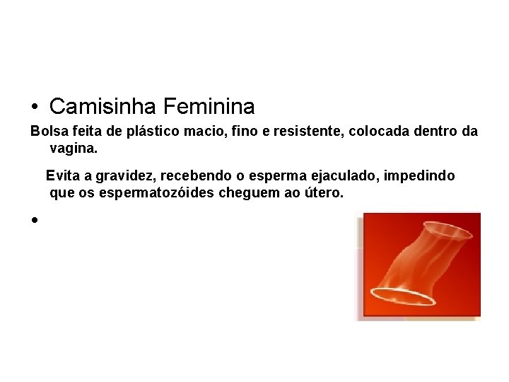  • Camisinha Feminina Bolsa feita de plástico macio, fino e resistente, colocada dentro