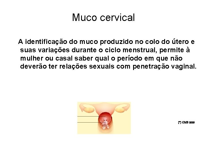 Muco cervical A identificação do muco produzido no colo do útero e suas variações