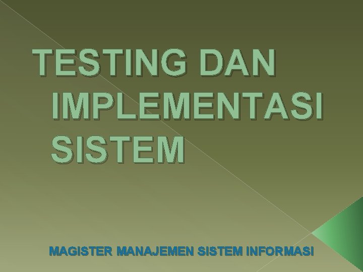 TESTING DAN IMPLEMENTASI SISTEM MAGISTER MANAJEMEN SISTEM INFORMASI 