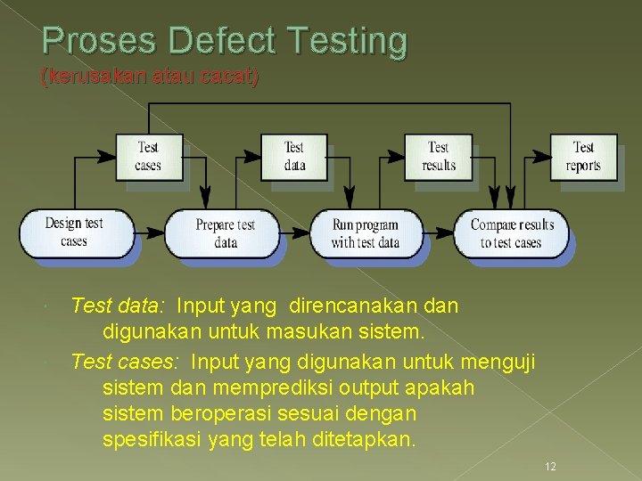 Proses Defect Testing (kerusakan atau cacat) Test data: Input yang direncanakan digunakan untuk masukan