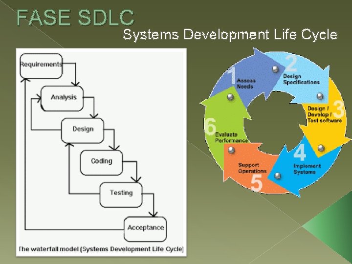 FASE SDLC Systems Development Life Cycle 