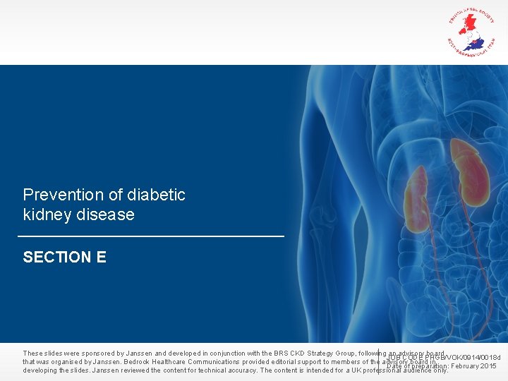 Prevention of diabetic kidney disease SECTION E These slides were sponsored by Janssen and