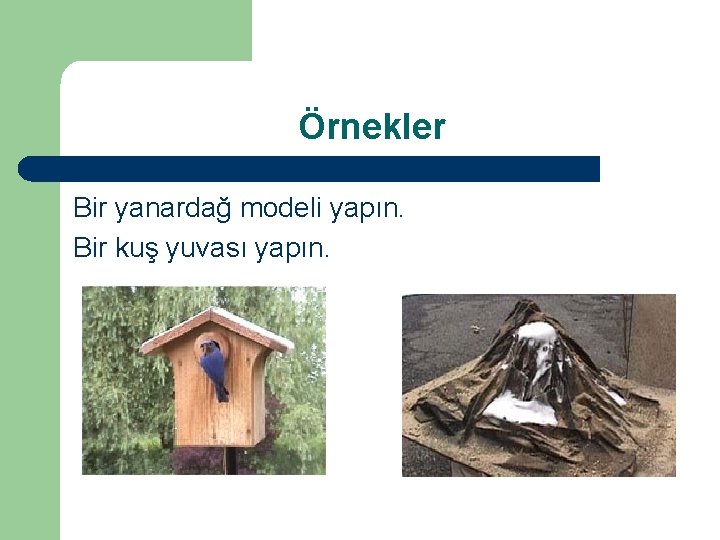 Örnekler Bir yanardağ modeli yapın. Bir kuş yuvası yapın. 