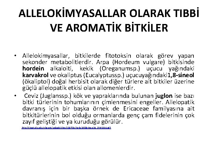 ALLELOKİMYASALLAR OLARAK TIBBİ VE AROMATİK BİTKİLER • Allelokimyasallar, bitkilerde fitotoksin olarak görev yapan sekonder