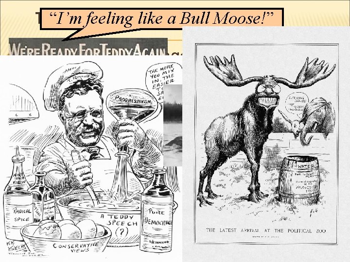 THE ELECTION OFa 1912 “I’m feeling like Bull Moose!” TR decided to run against