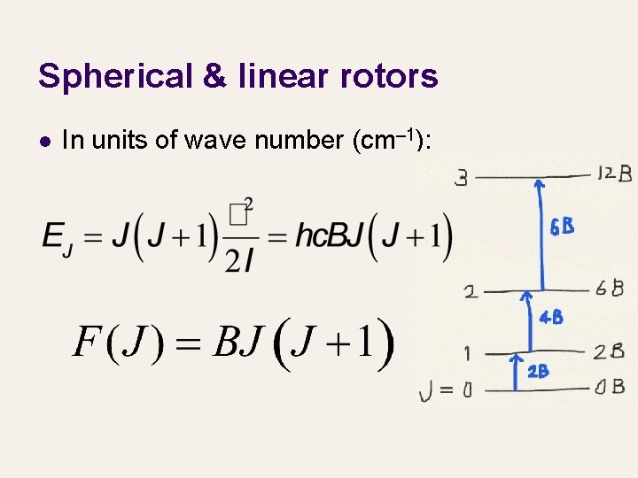 Spherical & linear rotors l In units of wave number (cm– 1): 