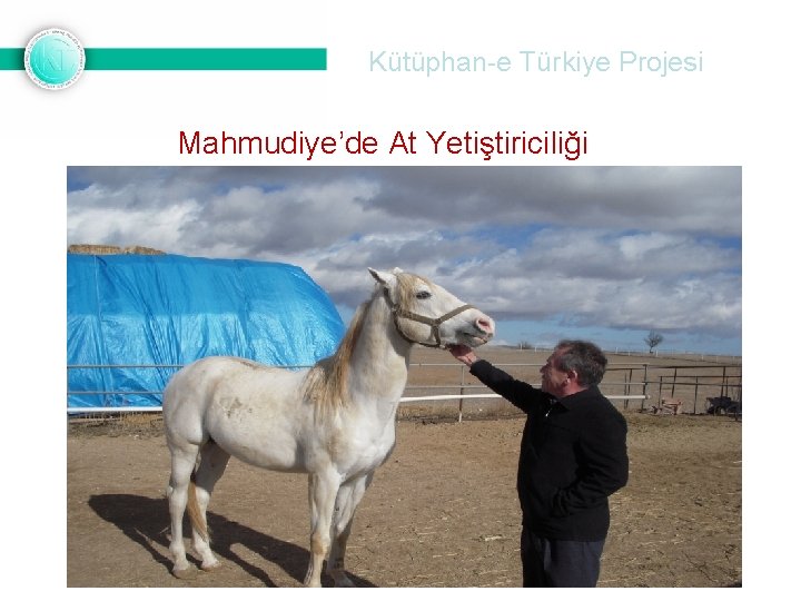 Kütüphan-e Türkiye Projesi Mahmudiye’de At Yetiştiriciliği 