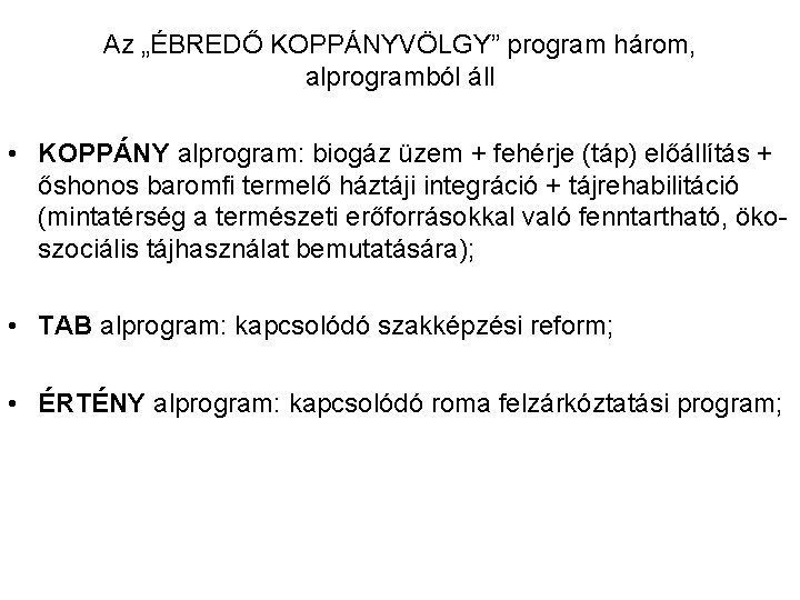 Az „ÉBREDŐ KOPPÁNYVÖLGY” program három, alprogramból áll • KOPPÁNY alprogram: biogáz üzem + fehérje