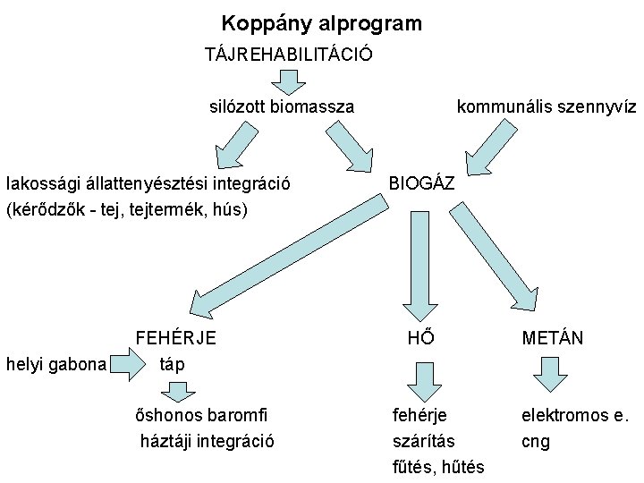 Koppány alprogram TÁJREHABILITÁCIÓ silózott biomassza lakossági állattenyésztési integráció (kérődzők - tej, tejtermék, hús) helyi