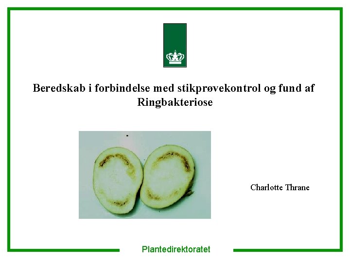 Beredskab i forbindelse med stikprøvekontrol og fund af Ringbakteriose Charlotte Thrane Plantedirektoratet 