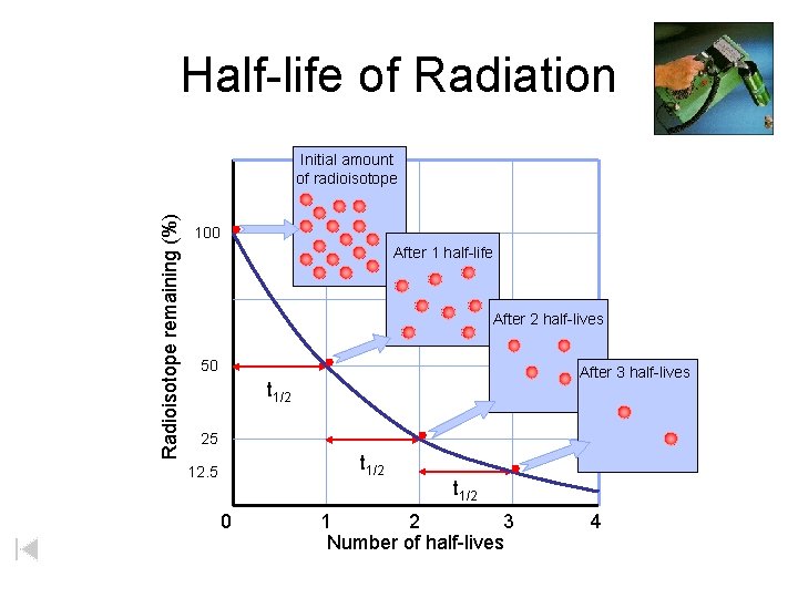 Half-life of Radiation Radioisotope remaining (%) Initial amount of radioisotope 100 After 1 half-life